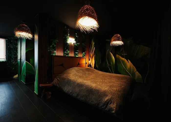 Lejlighed Jungle Dunkerque Centre